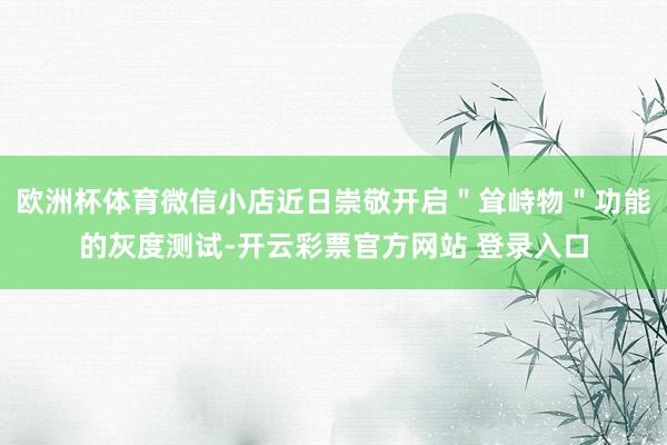 欧洲杯体育微信小店近日崇敬开启＂耸峙物＂功能的灰度测试-开云彩票官方网站 登录入口