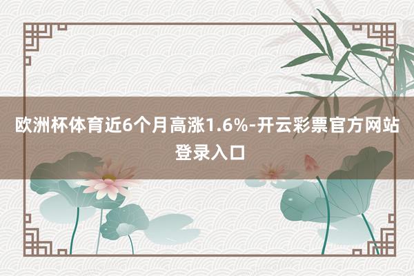 欧洲杯体育近6个月高涨1.6%-开云彩票官方网站 登录入口