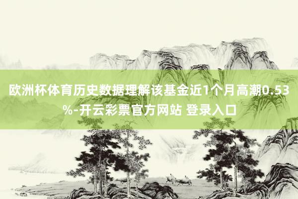 欧洲杯体育历史数据理解该基金近1个月高潮0.53%-开云彩票官方网站 登录入口