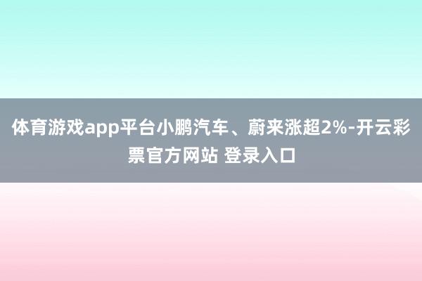 体育游戏app平台小鹏汽车、蔚来涨超2%-开云彩票官方网站 登录入口