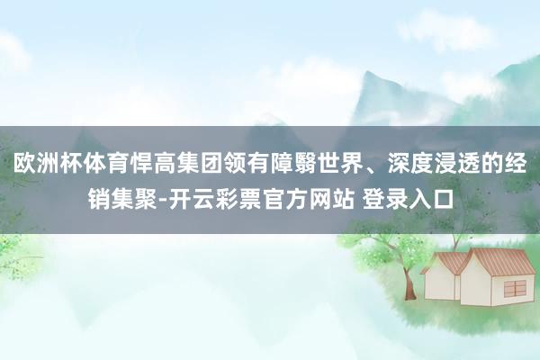 欧洲杯体育悍高集团领有障翳世界、深度浸透的经销集聚-开云彩票官方网站 登录入口