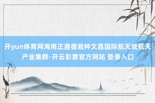 开yun体育网海南正遵循栽种文昌国际航天城航天产业集群-开云彩票官方网站 登录入口