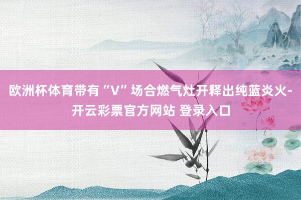 欧洲杯体育带有“V”场合燃气灶开释出纯蓝炎火-开云彩票官方网站 登录入口